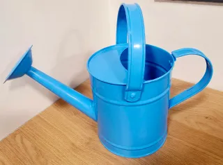 Regadera azul metálica