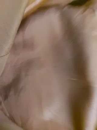 Chaqueta Mango Beige