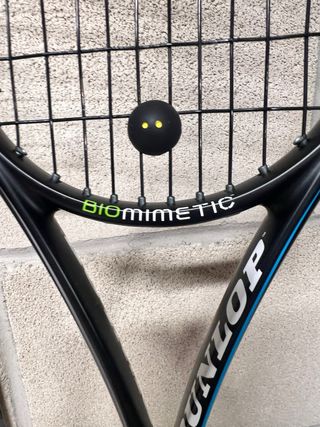 Raquetas de Squash Dunlop y Head