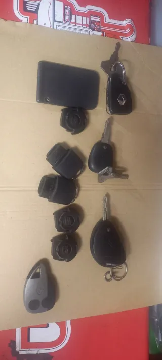 Mandos y Tarjeta Coche Seat, Renault, Citroen