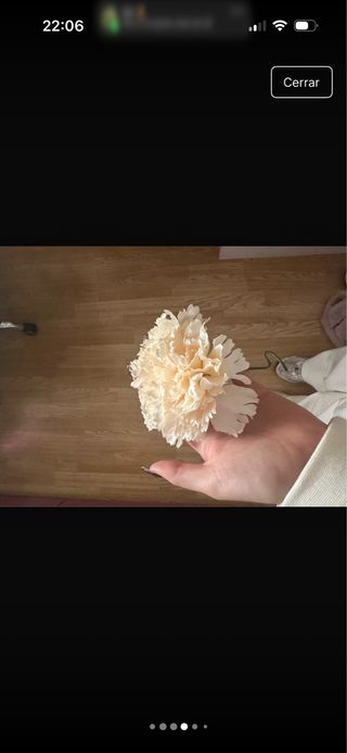 Vestido Flamenca Lunares burdeos con accesorios