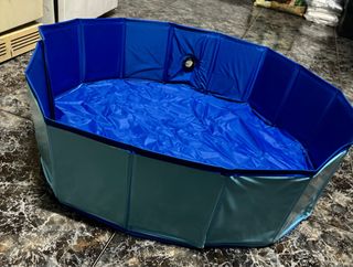 Piscina Plegable para Perro Azul y Verde