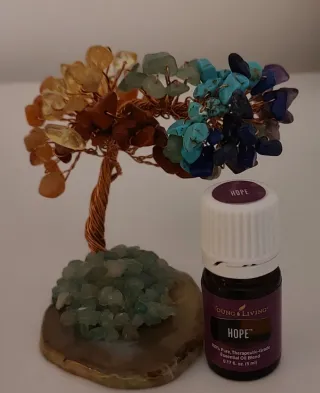 Vendo óleo essencial Hope 5ml da YL