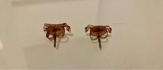 Pendientes Luxenter Oro Rosa y Rubíes