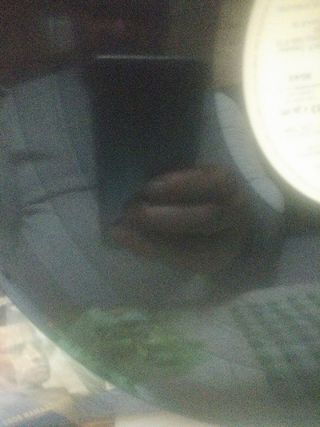 Vinilo i Boom! 5 Éxitos