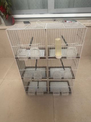 Jaula para pájaros múltiple