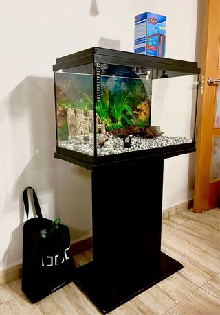 Pecera con filtro, mueble y vitaminas