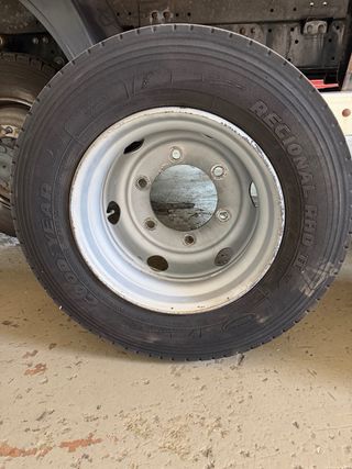 Neumaticos de camion