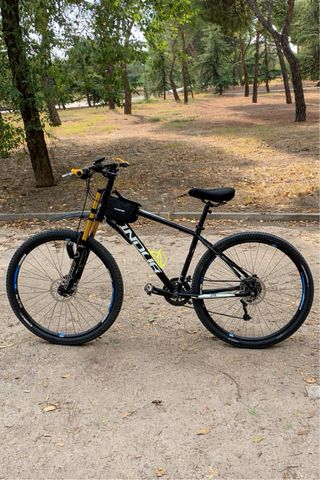 Bicicleta 29 Descenso