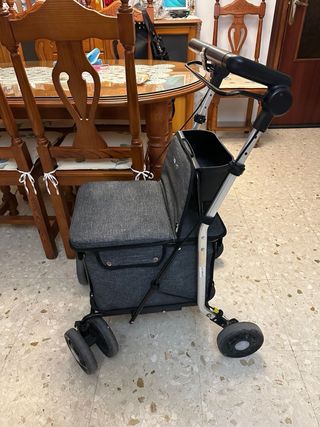 Andador Carrito con Asiento