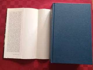 Libro Come vola il corvo