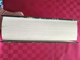 Libro Come vola il corvo