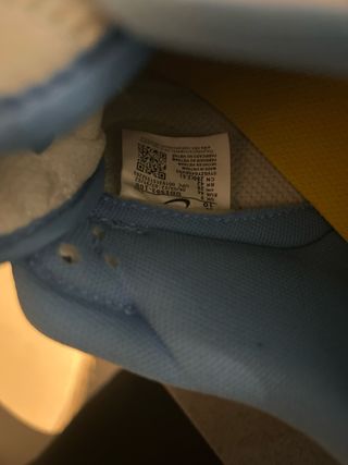 Nike Dunk Low Azul Blanco