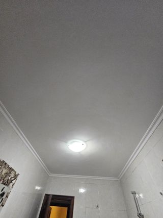 Pintor profesional, Pladur, eliminacion de Gotele