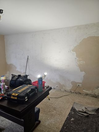 Pintor profesional, Pladur, eliminacion de Gotele