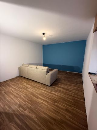 Pintor profesional, Pladur, eliminacion de Gotele