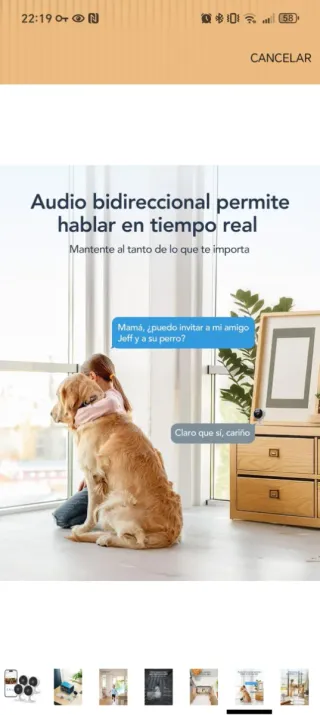 4 Cámaras de Vigilancia GNCC