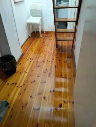 Servicio de limpieza