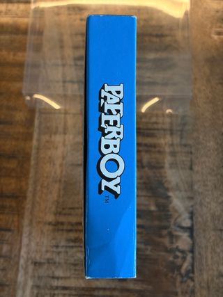 Paper Boy Game Boy (Erbe)
