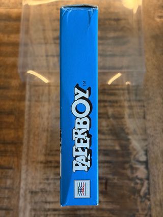 Paper Boy Game Boy (Erbe)