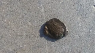 Lote monedas antiguas