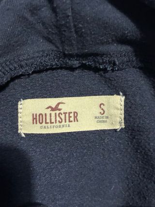 Felpa Hollister