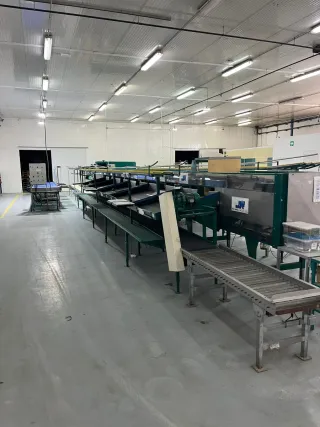 Calibrador Maf 2 líneas 10 salidas