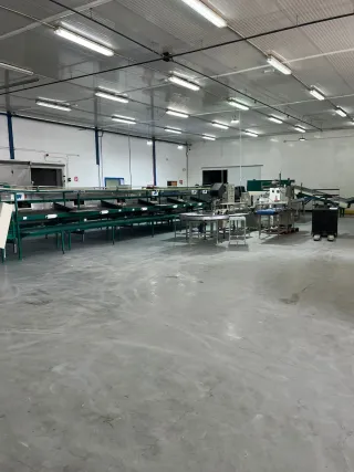 Calibrador Maf 2 líneas 10 salidas