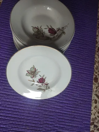 15 Platos hondos de cerámica Tanagra (Santander)