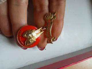 Spilla oro e rossa con nastro