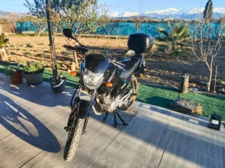 Yamaha YBR125 2017 Naked