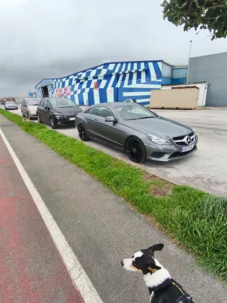 Mercedes-Benz Clase E 2016