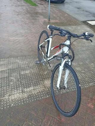 Bicicleta  blanca