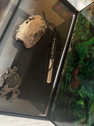 Pecera 60x30x30 cm (55l aprox)