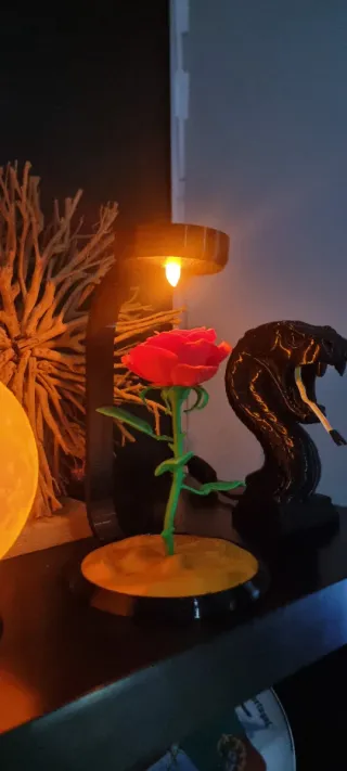 Luminária Rosa Encantada