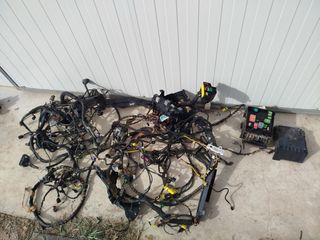 Cableado y Cajas Fusibles Seat Leon