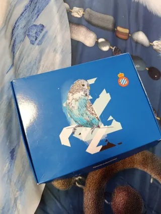 Bufanda RCD Espanyol