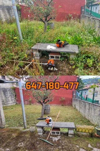 DESBROCE JARDINERO LIMPIEZAS