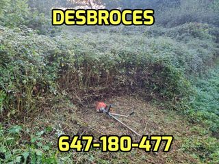 DESBROCE JARDINERO LIMPIEZAS