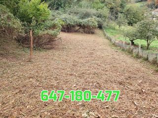 DESBROCE JARDINERO LIMPIEZAS