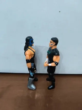 Action Figure WWE Wrestling