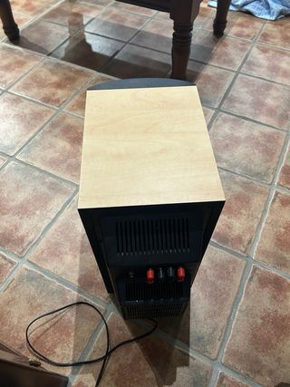 Subwoofer Pioneer SW-110S