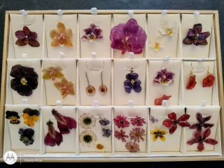 Pendientes con Flores de Cantabria