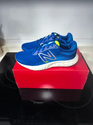 Zapatillas New Balance 520 Mujer Azul Multicolor