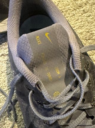 Nike Pegasus Turbo 35 Gris