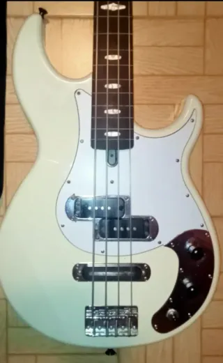 Bajo fretless+funda.