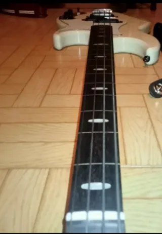 Bajo fretless+funda.