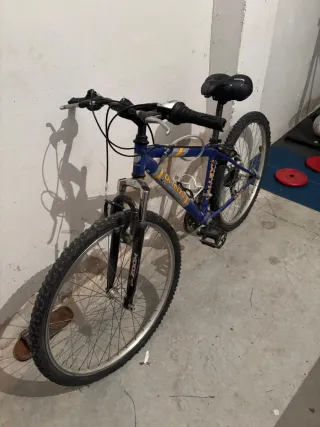 Bicicleta Montaña Ruedas 24