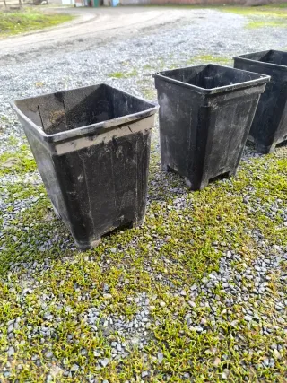 Macetas de vivero de plástico (100)