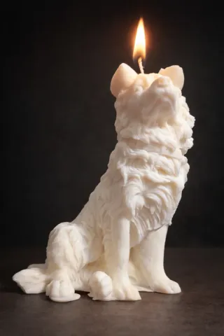 Vela Perro Border Collie grande